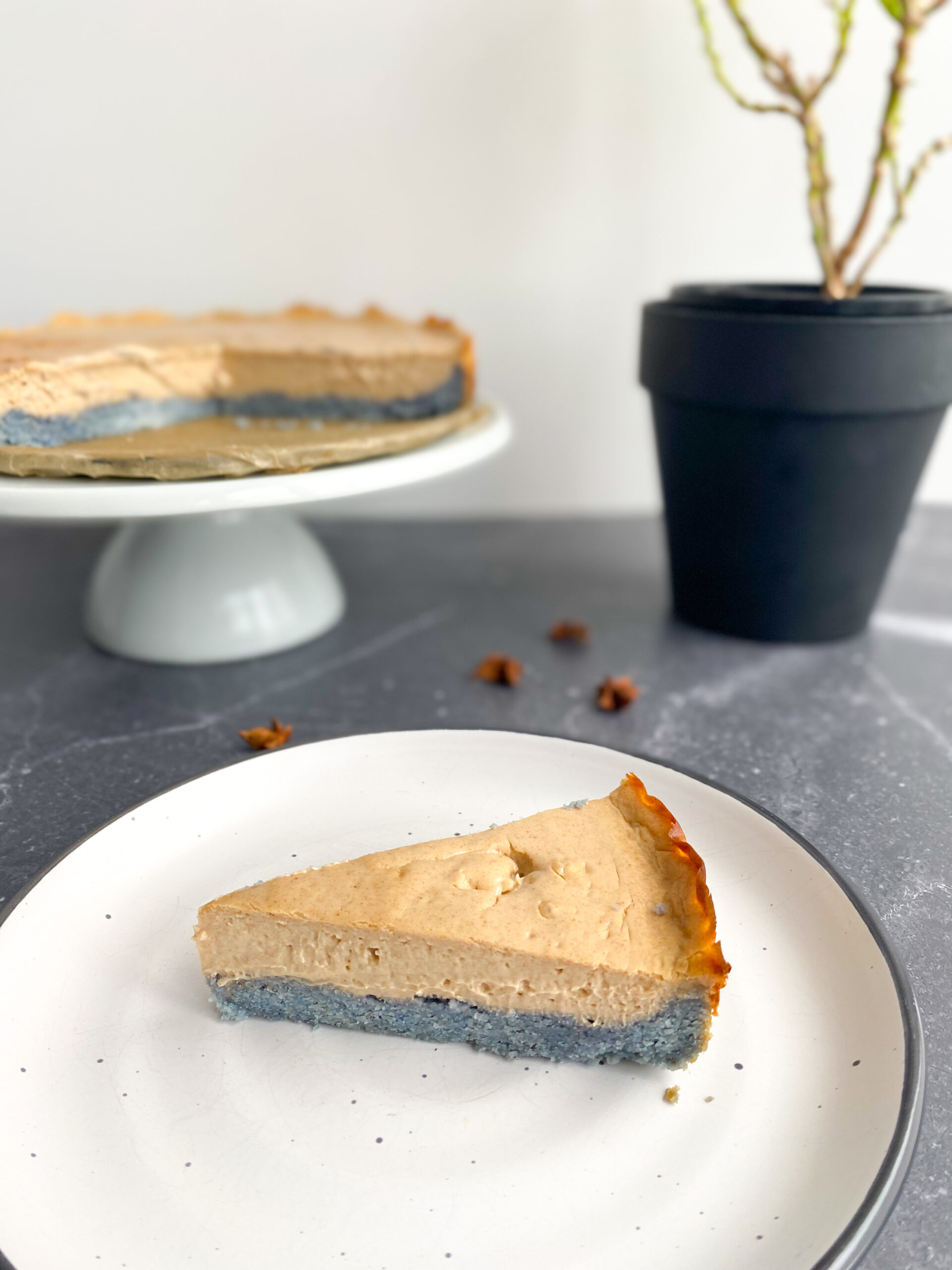 Vegan Yogurt Cheesecake